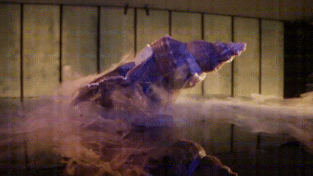 3月17日 (1).gif